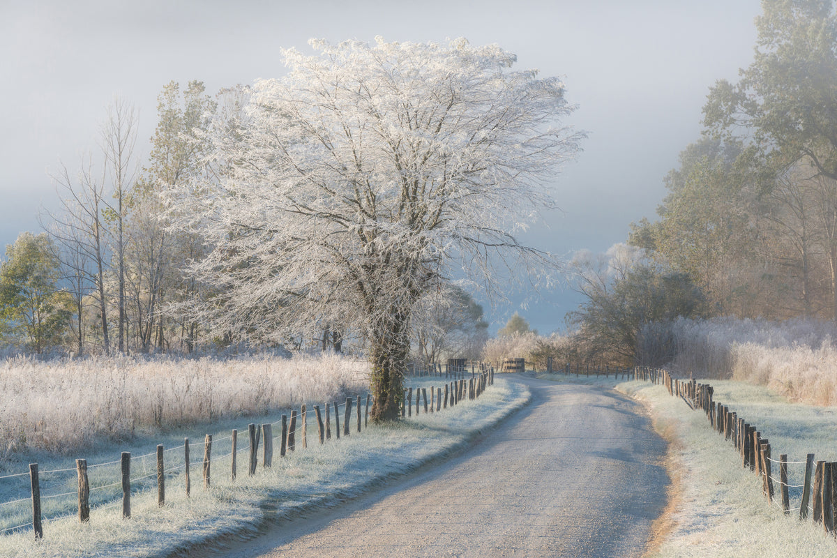 acrylic-print-a-frosty-morning