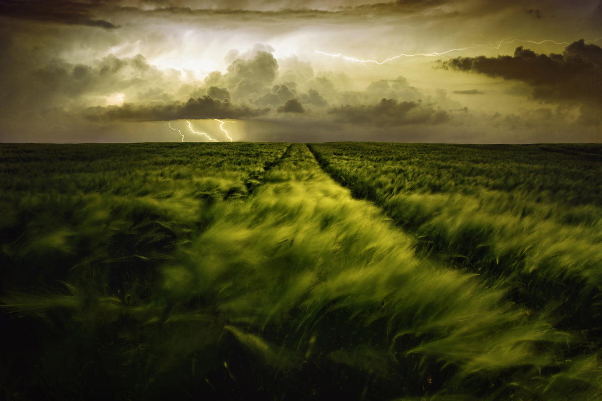 poster-print-journey-to-the-fierce-storm