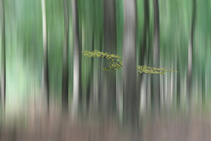 3-piece-acrylic-print-summermorning