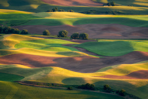 acrylic-print-colorful-palouse-x