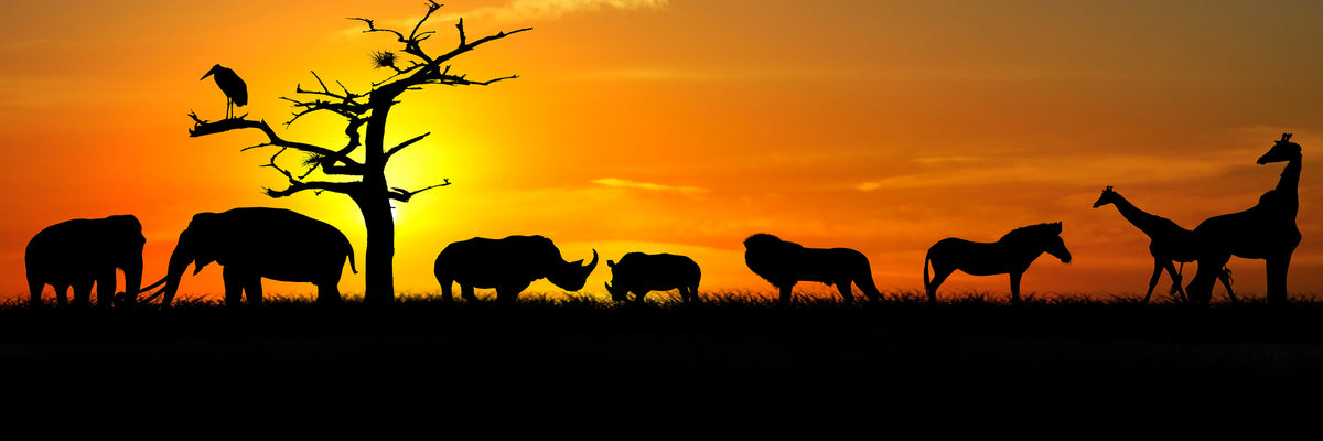 panoramic-acrylic-print-safari-animals-at-sunset-panorama