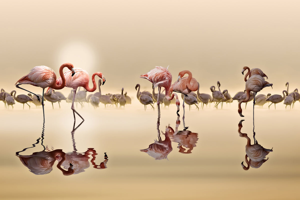 acrylic-print-flamingos-x
