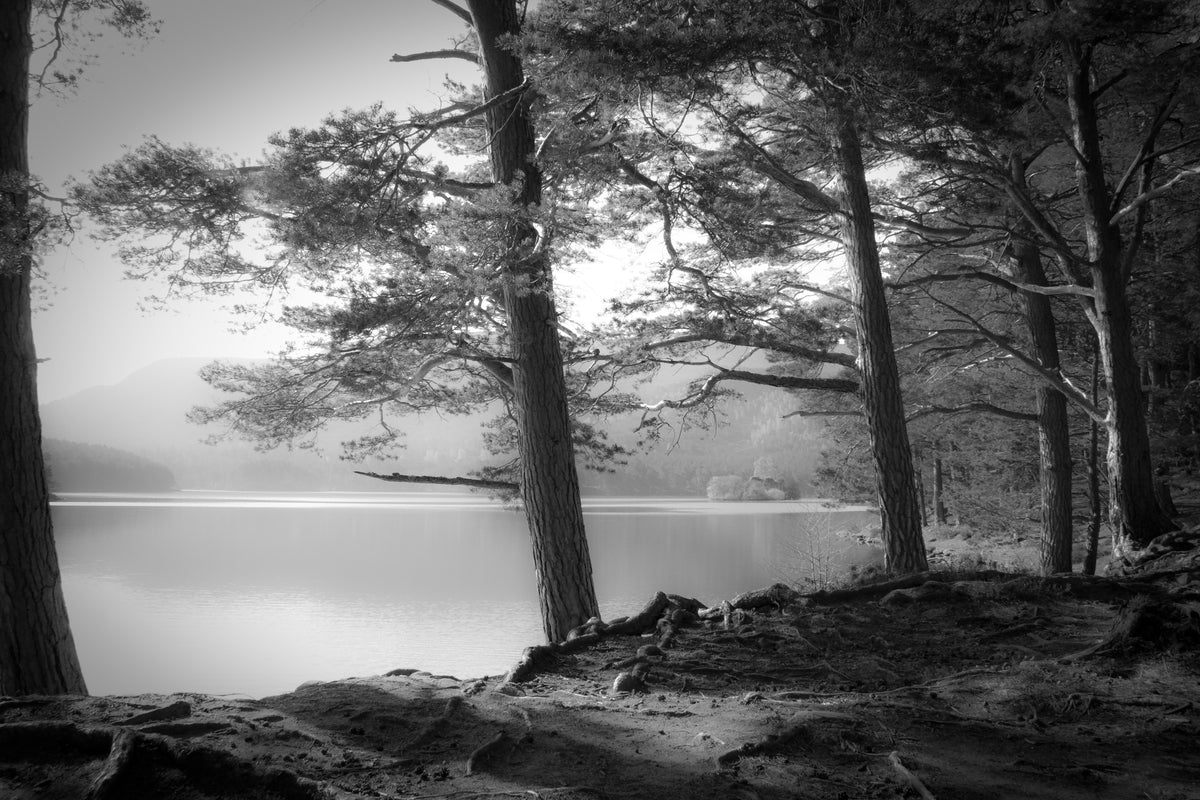 aluminium-print-loch-an-eilein