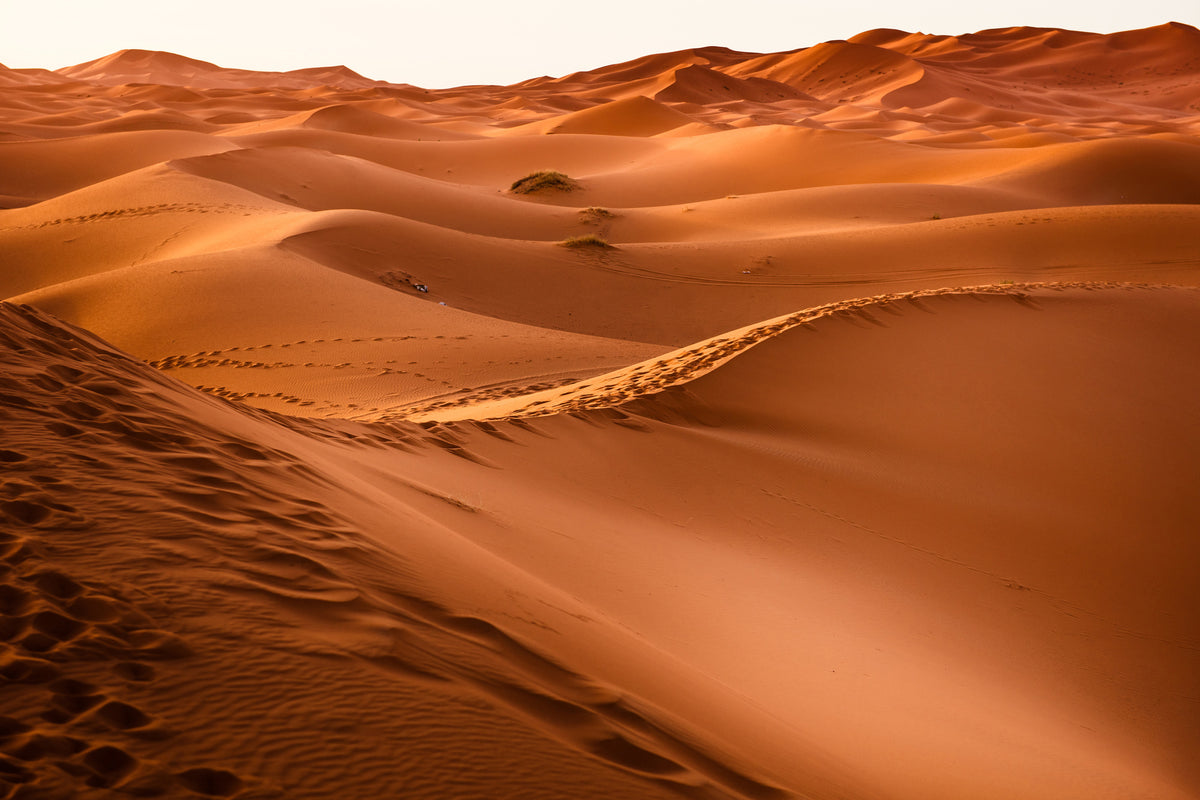 framedcanvas-print-traces-in-the-desert