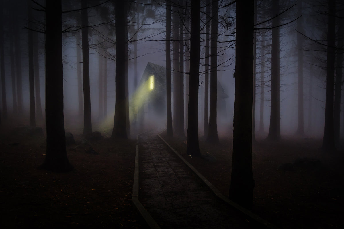 3-piece-aluminium-print-fog-in-the-forest