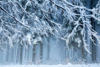 poster-print-snowworld-x