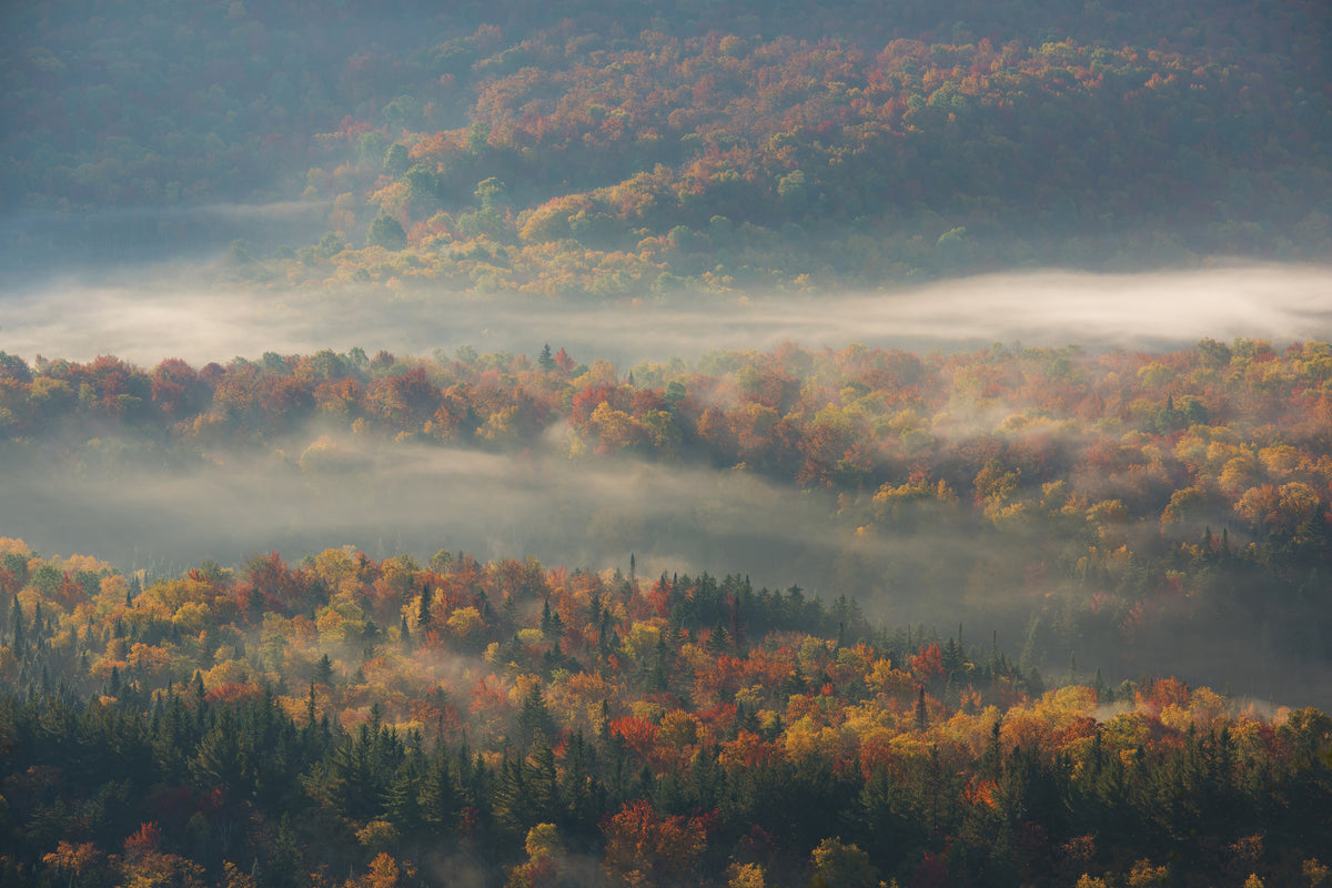 framedposter-print-misty-morning-ii-a