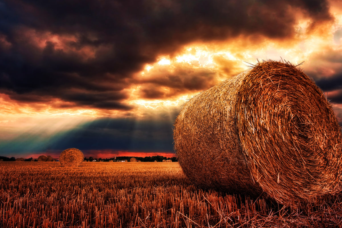canvas-print-mystic-landscape