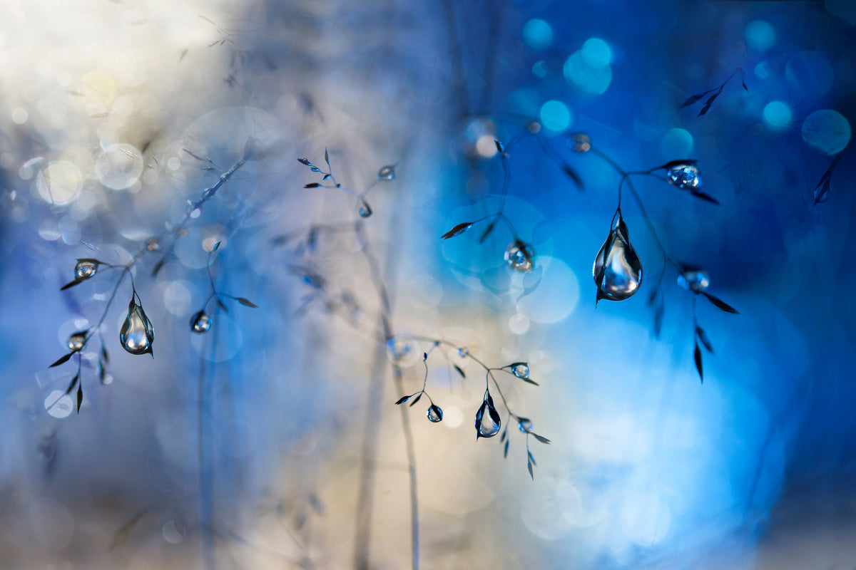 3-piece-acrylic-print-blue-rain