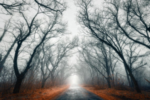 modern-3-piece-acrylic-print-mysterious-mood-in-the-forest