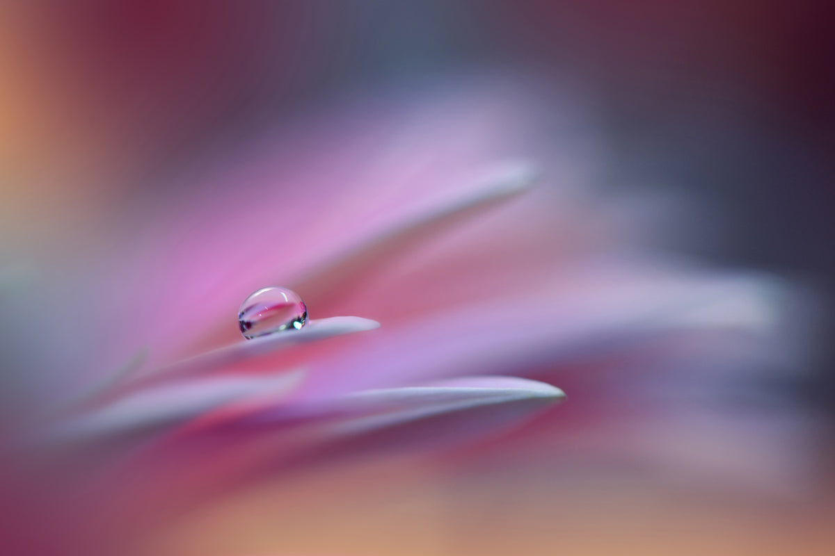 acrylic-print-sound-of-colors-xsr