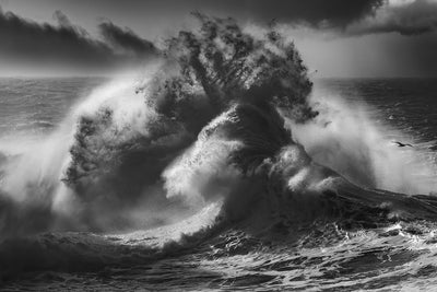 poster-print-poseidon-majesty-part-4-x