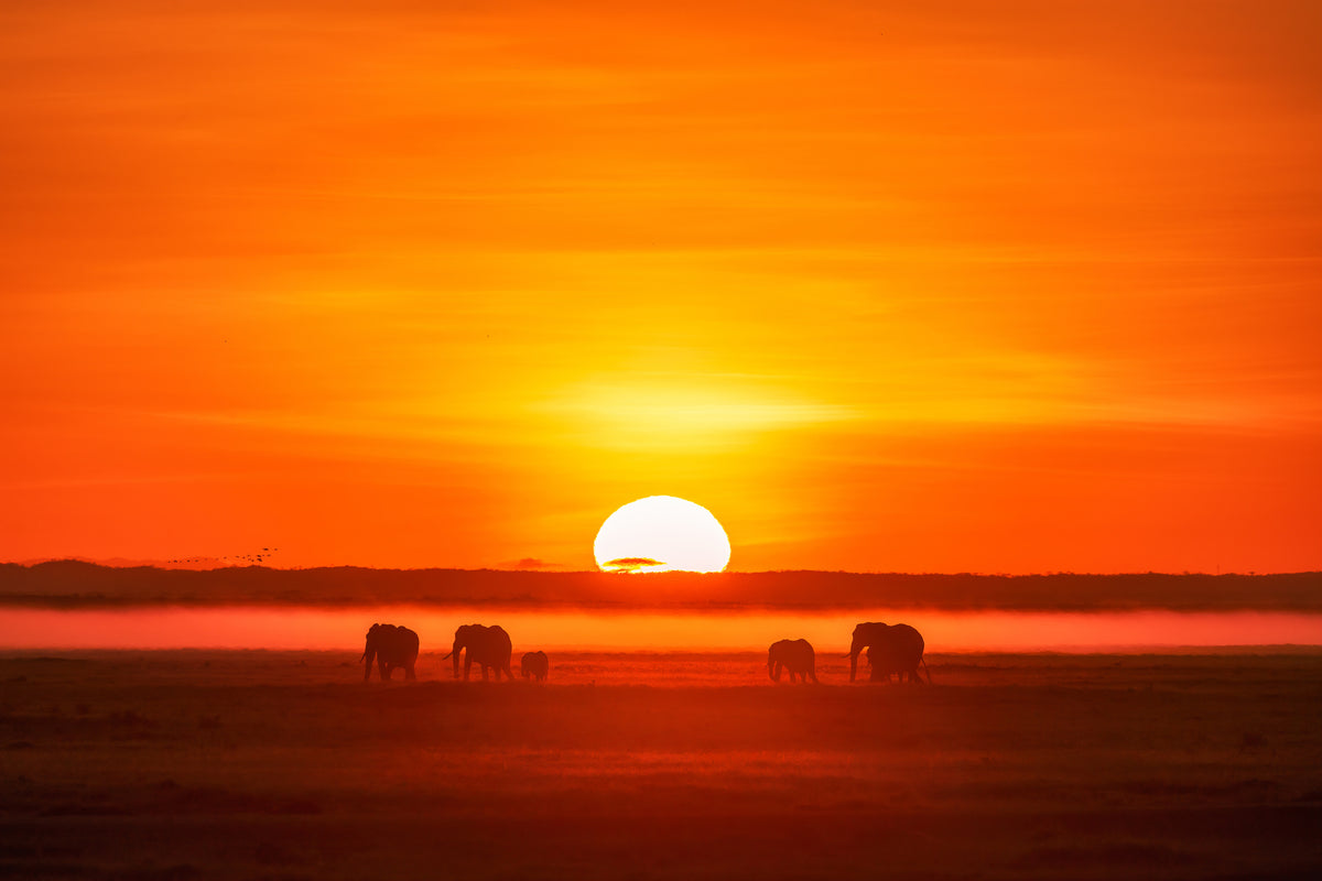 acrylic-print-africa-impression-x