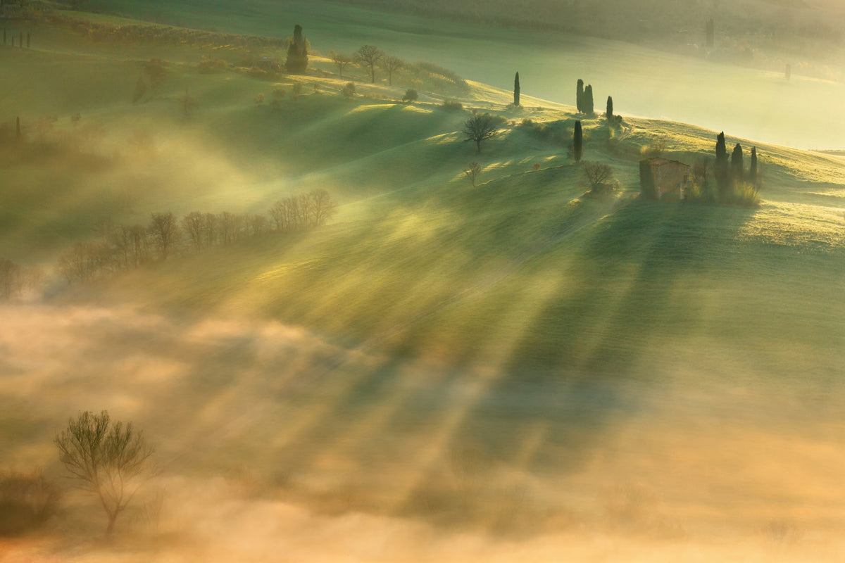 framedcanvas-print-mist-x