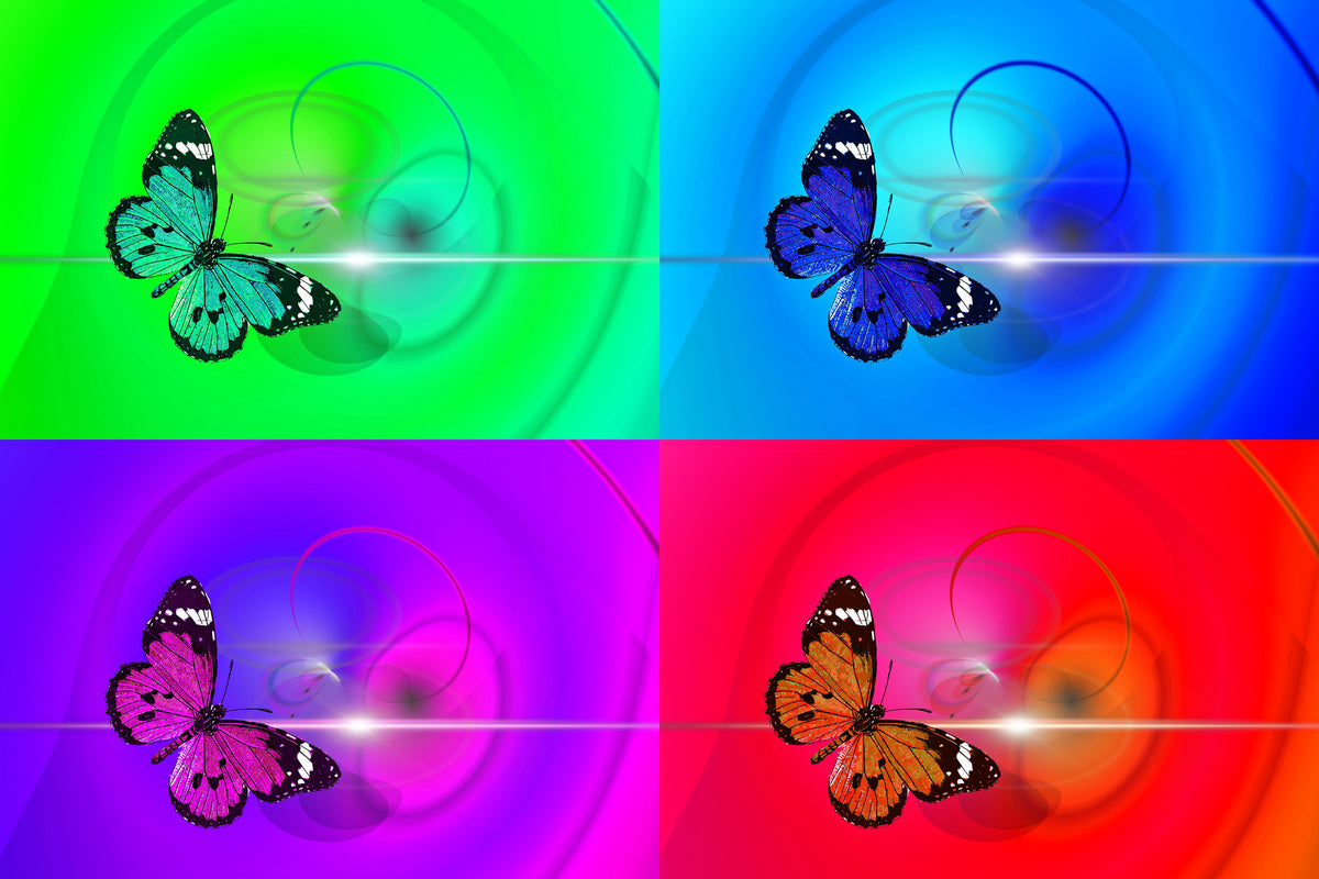 aluminium-print-pop-art-colorful-butterfly