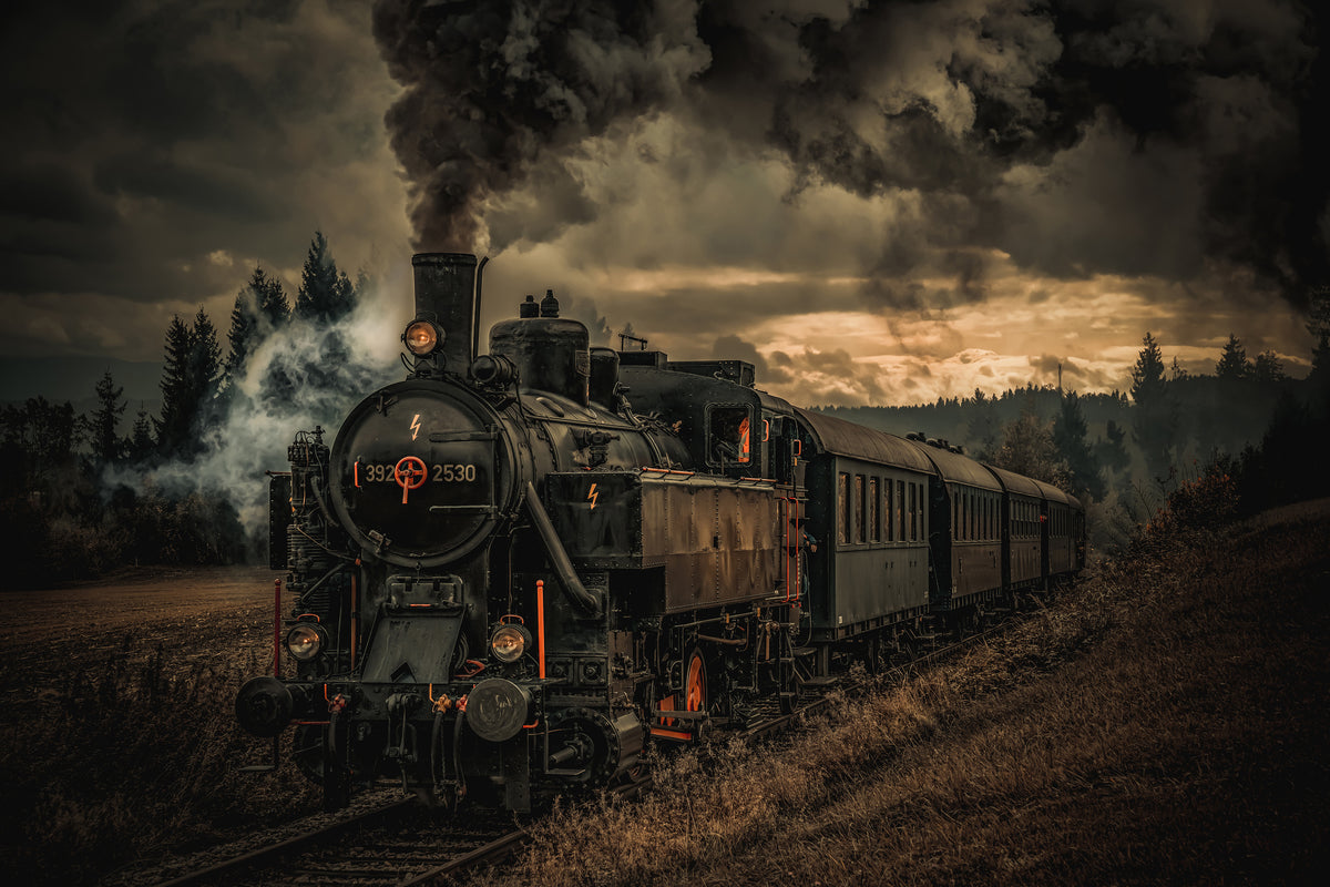 canvas-print-gold-digger-train-x