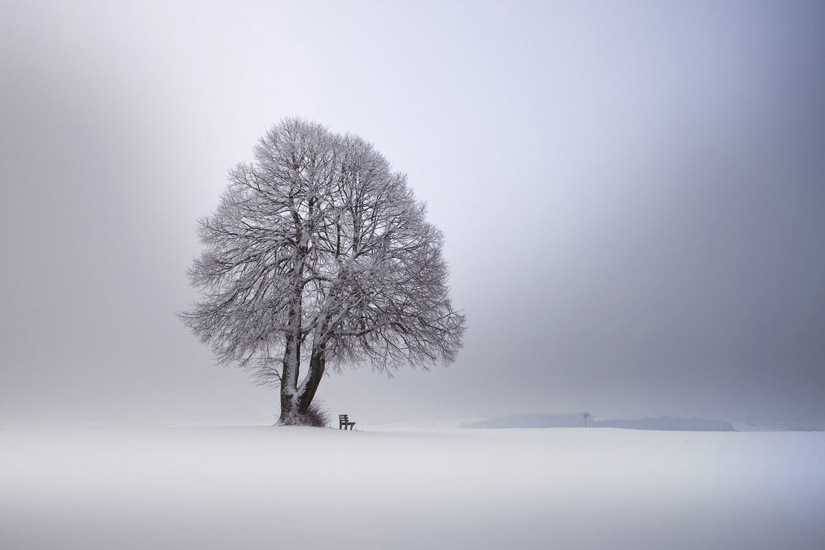 poster-print-winter-light-xpy