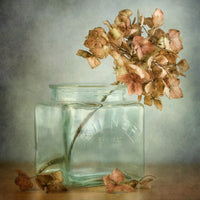 poster-print-hydrangea-x