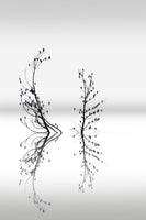 aluminium-print-dreamland-03-x