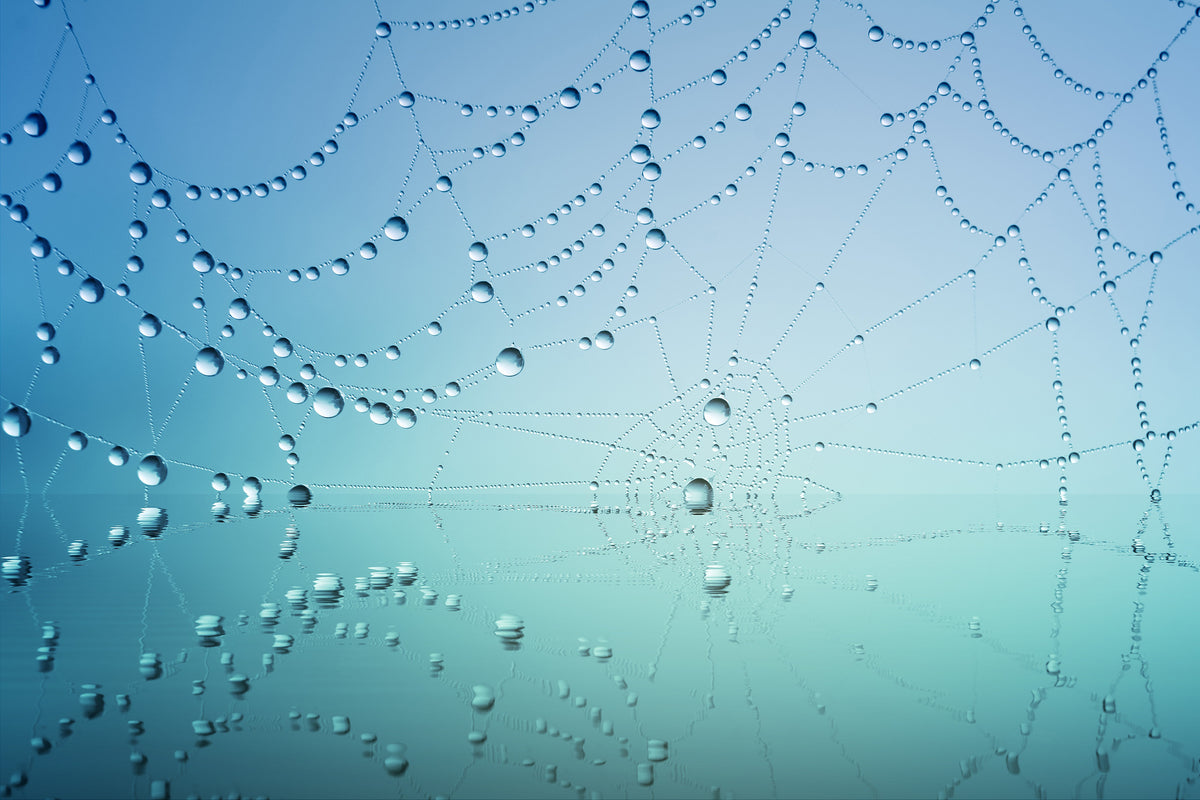 modern-3-piece-acrylic-print-cobweb-in-morning-dew