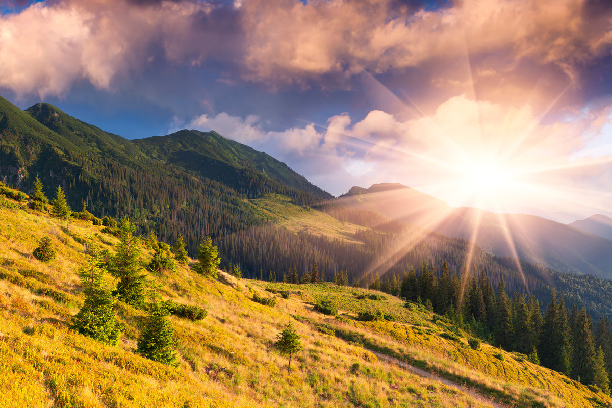 3-piece-aluminium-print-beginning-of-autumn