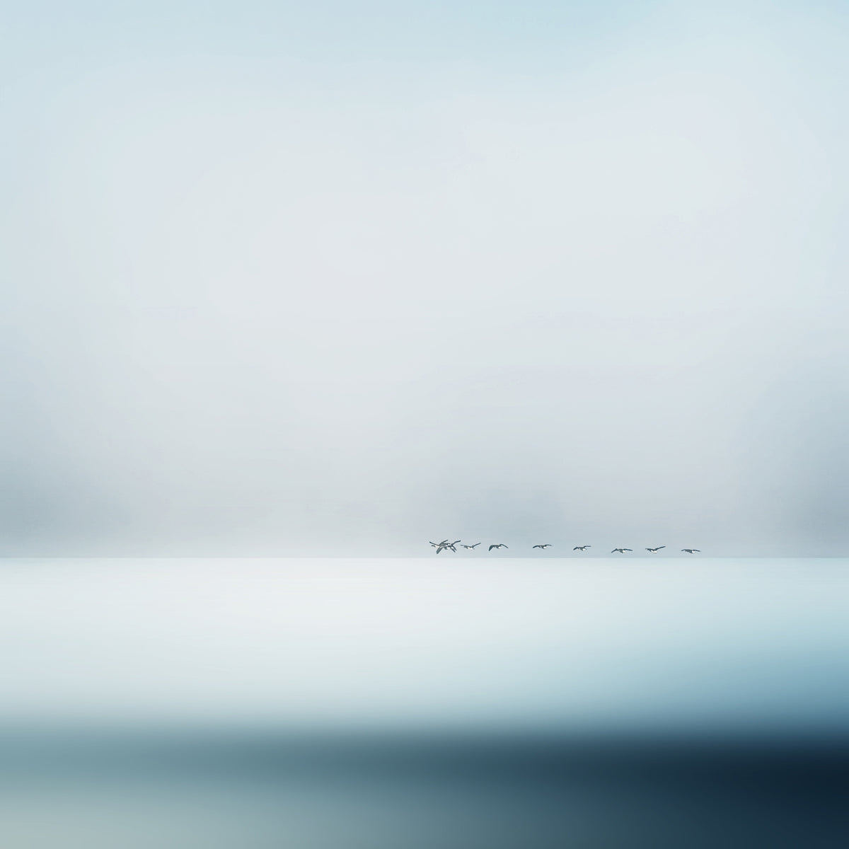 canvas-print-wild-geese