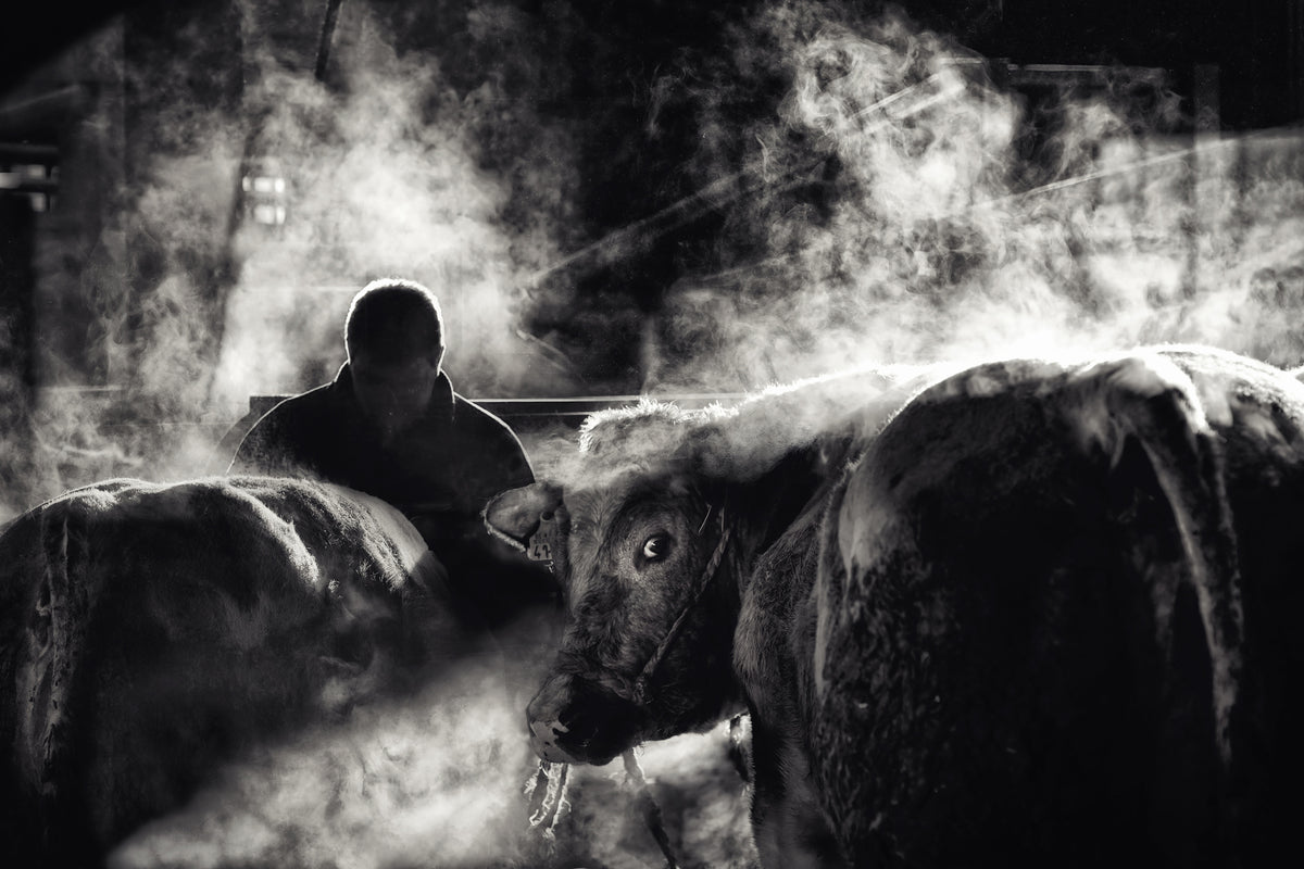 poster-print-farm-life