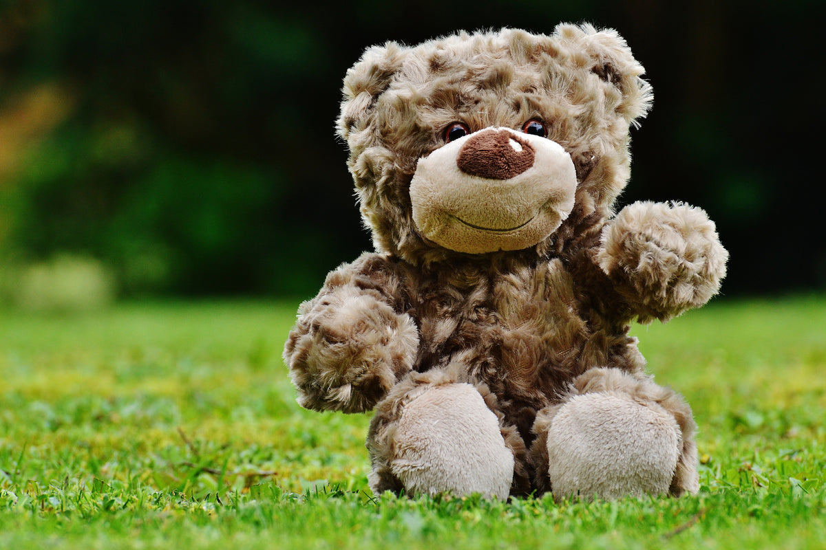 framedcanvas-print-happy-teddy-bear