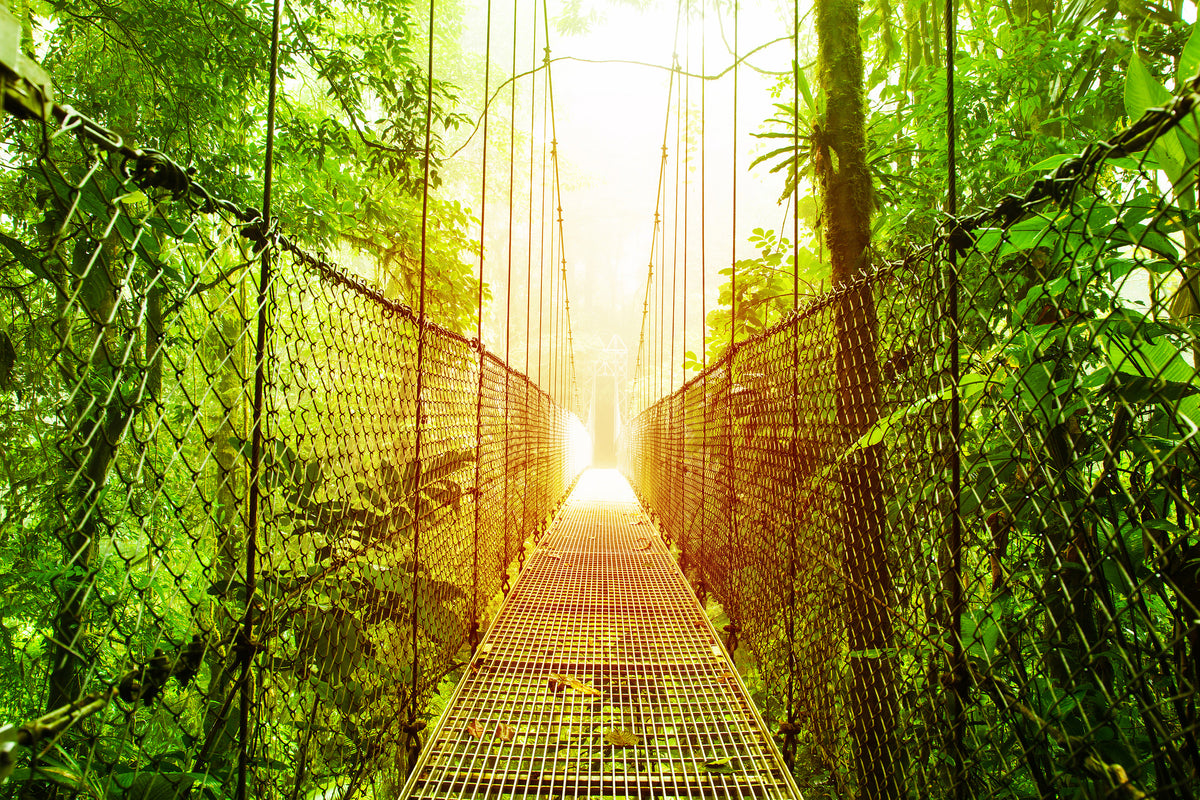 acrylic-print-suspension-bridge