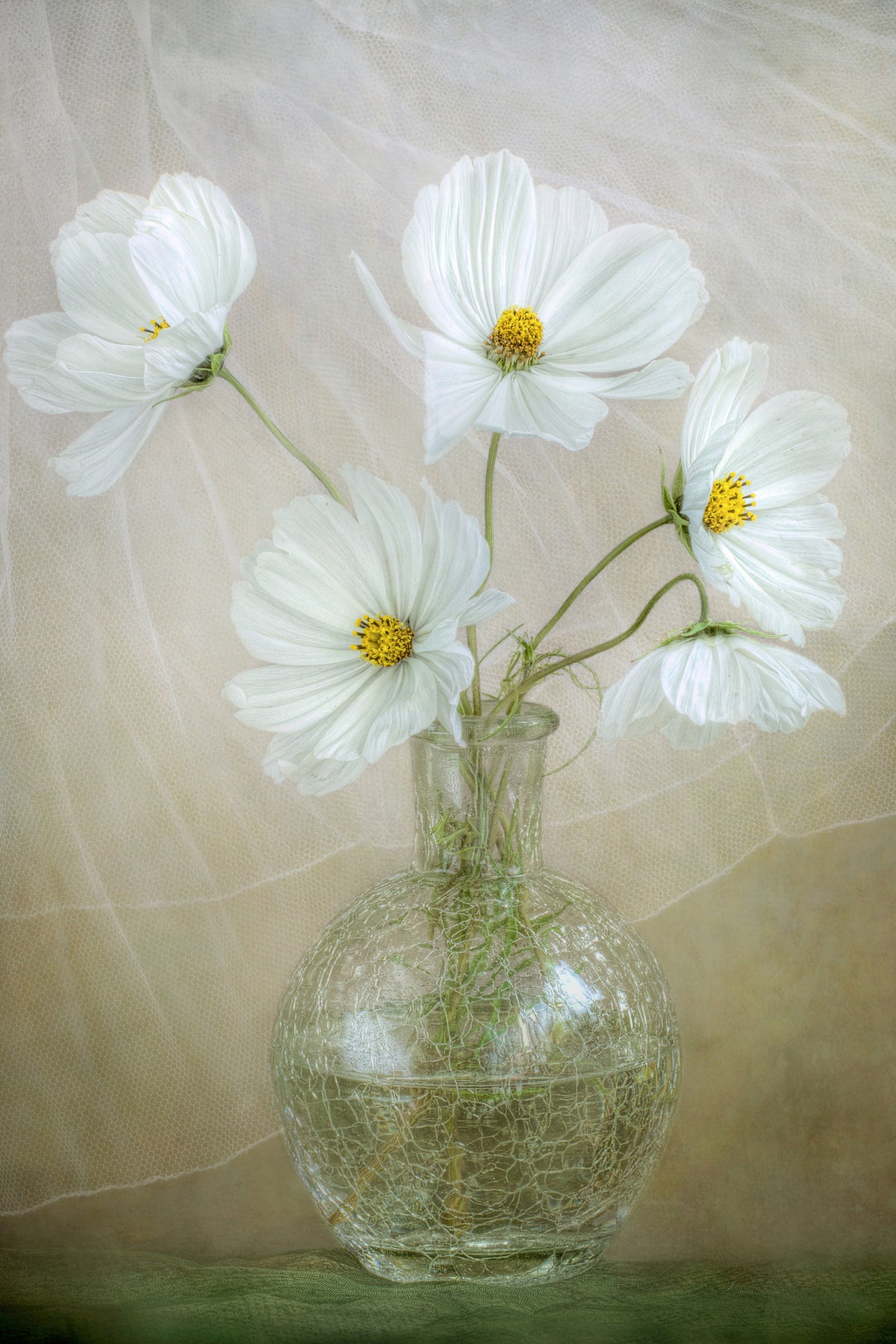 poster-print-cosmos-breeze