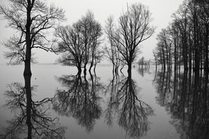 acrylic-print-flood-x