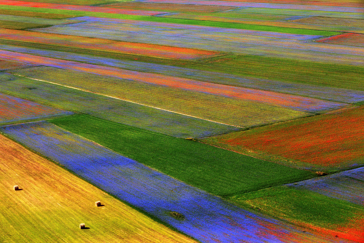 framedposter-print-la-coperta