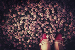 poster-print-thyme-carpet-x