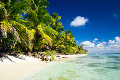 poster-print-the-deserted-island