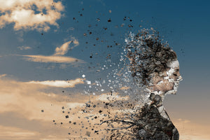 framedposter-print-in-the-wind-x