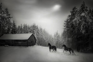 framedposter-print-untitled-xpe