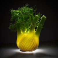 4-piece-aluminium-print-fennel