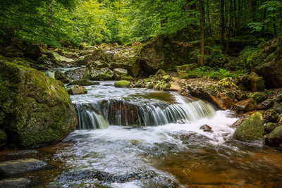 poster-print-relaxation-at-the-waterfall-ii