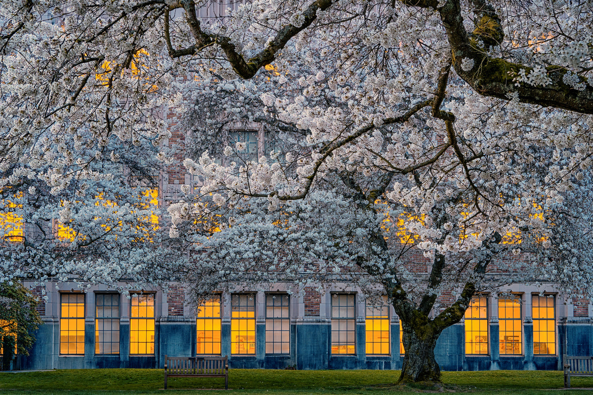acrylic-print-morning-at-university-of-washington-x