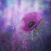 acrylic-print-ecstasy-x