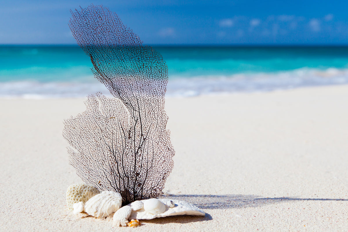 3-piece-aluminium-print-beach-art