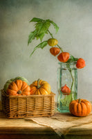 aluminium-print-autumn-xqk