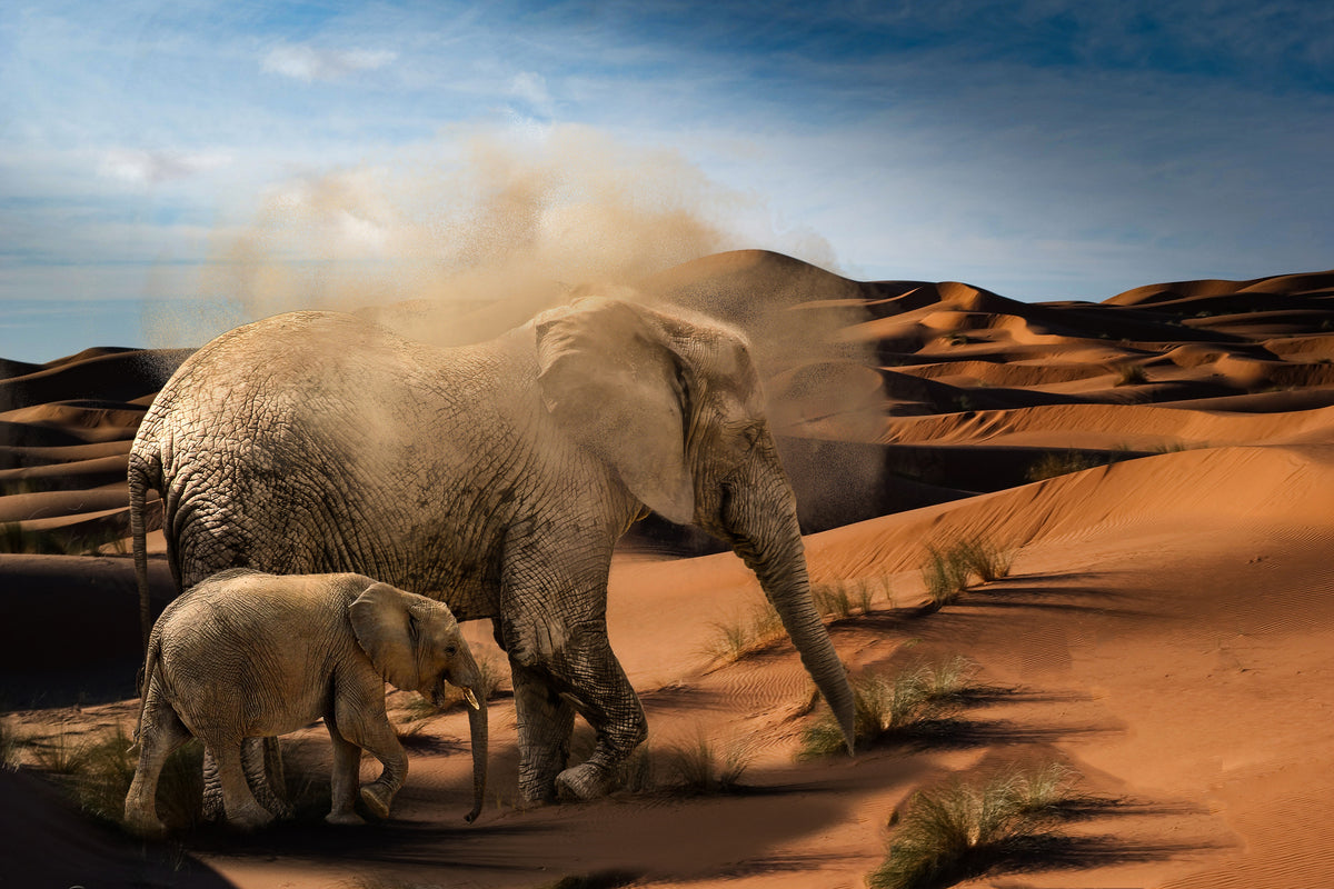 3-piece-aluminium-print-elephants-in-the-desert