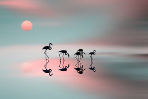 poster-print-family-flamingos-x