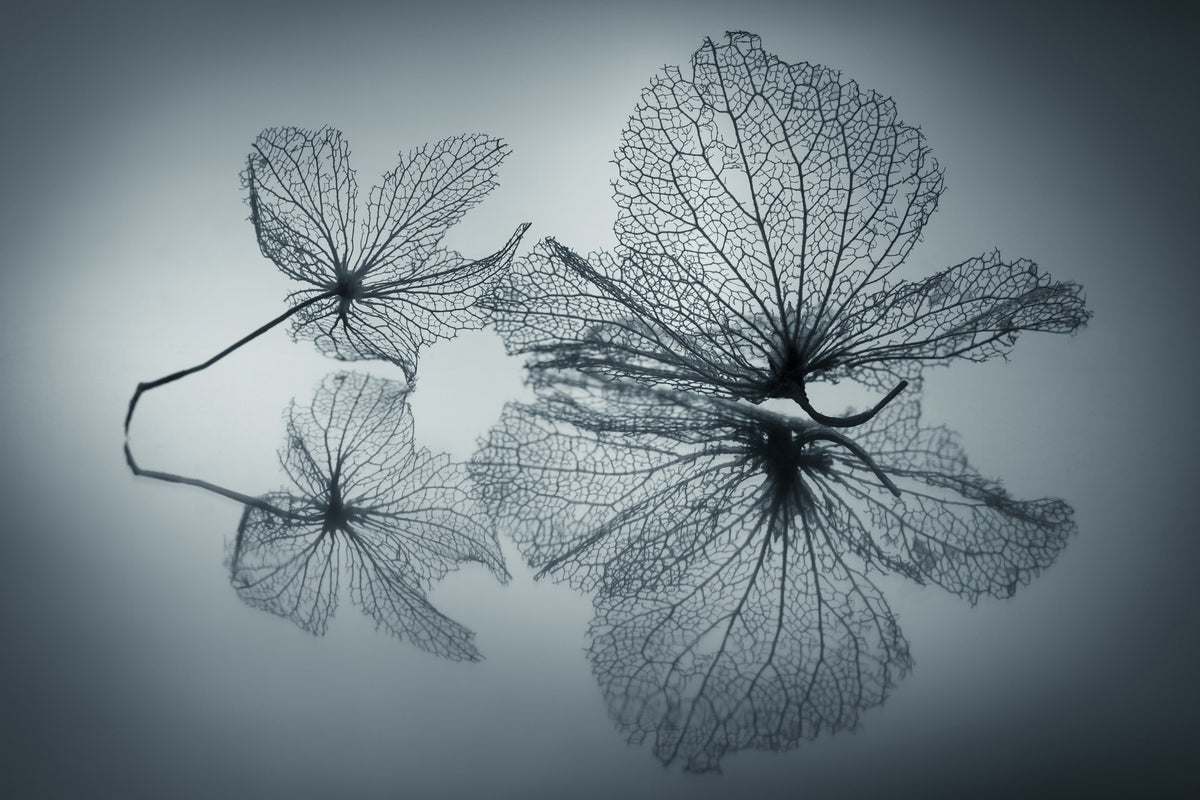 3-piece-aluminium-print-ephemeral-beauty