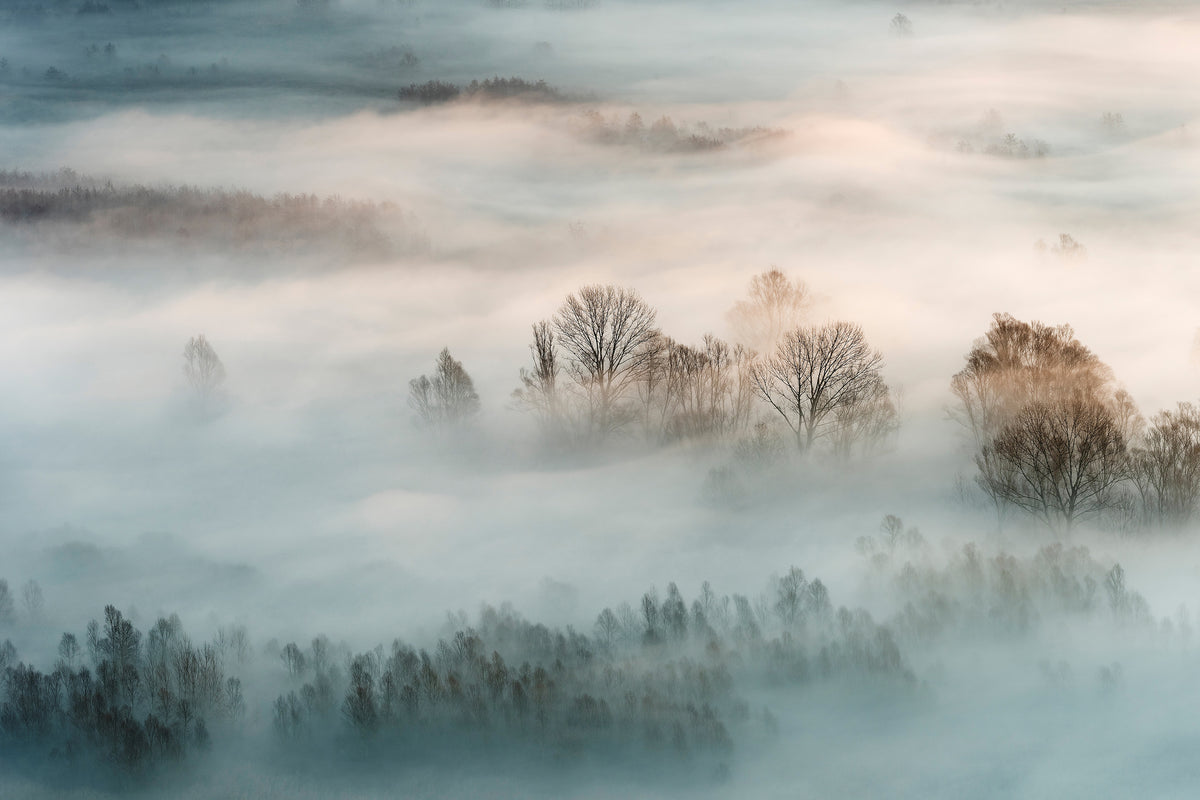 poster-print-winter-fog