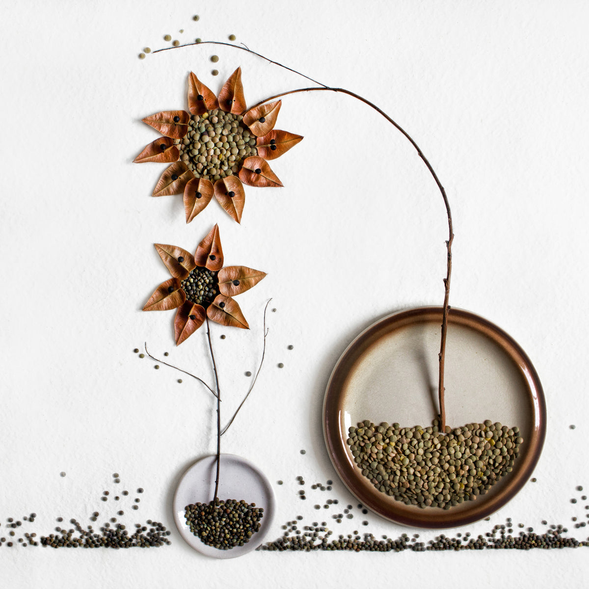 acrylic-print-herbarium