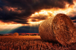 framedposter-print-mystic-landscape