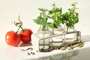 framedcanvas-print-tomatoes-and-herbs