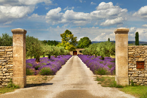 modern-3-piece-aluminium-print-lavender-garden